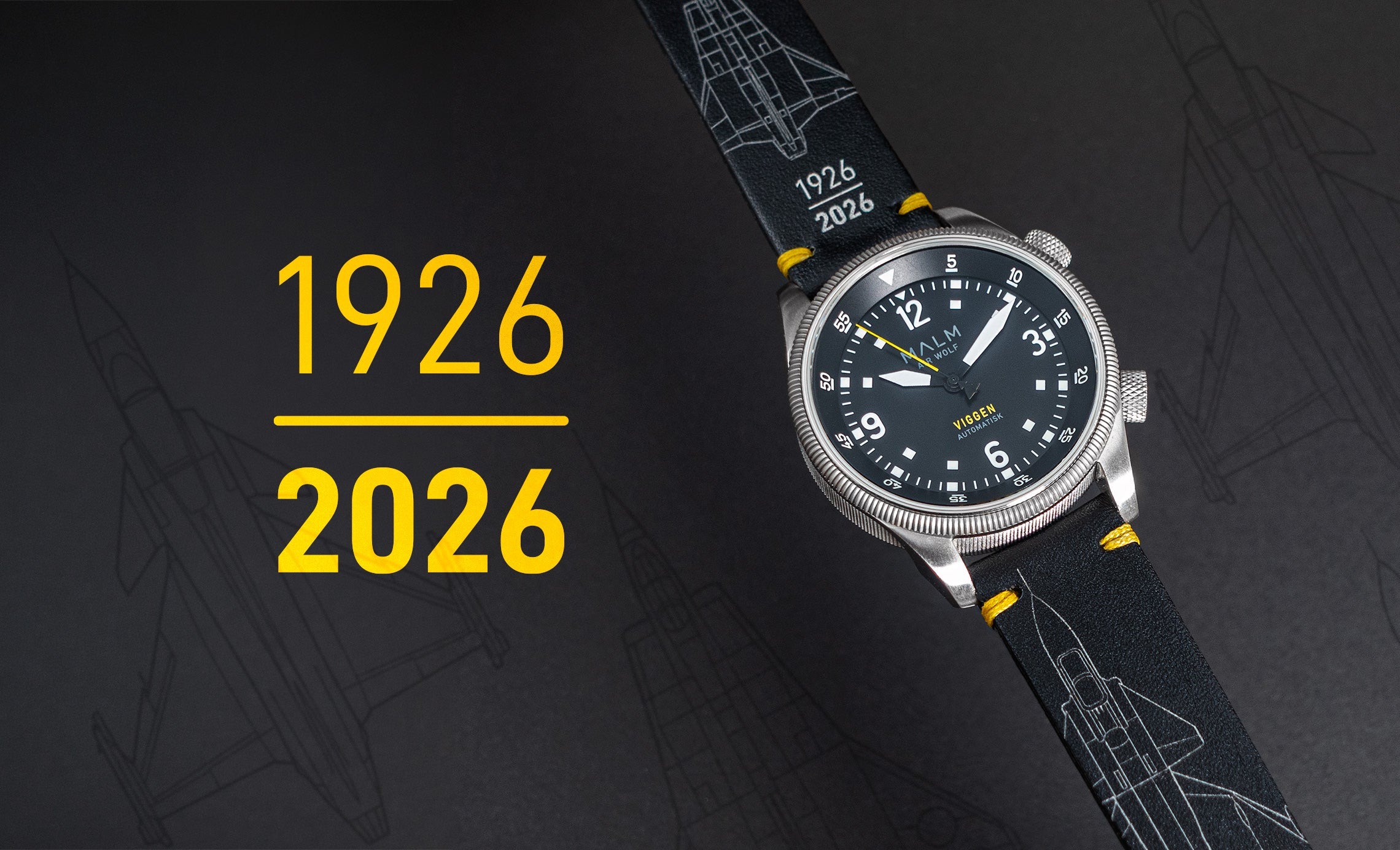 A Century in the Skies